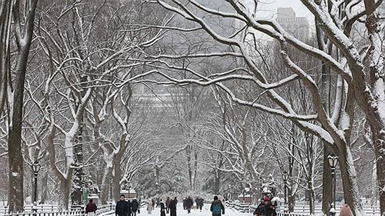 뉴욕에 3년 만에 최대 폭설‥항공기 수천 편 결항·지연