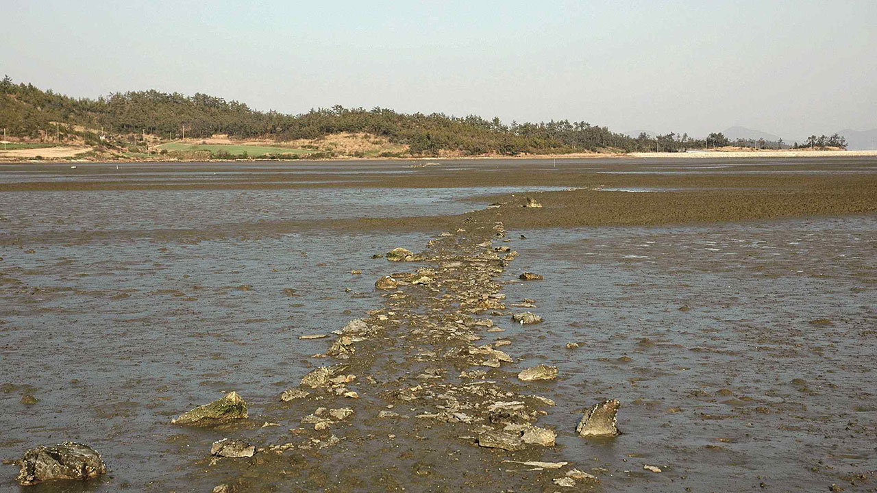 한물, 두물 바닷물 읽는 옛 지식‥물때, 국가무형유산 됐다