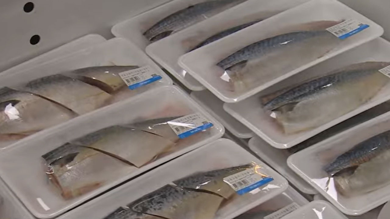 '국민생선' 고등어 수급 우려‥올해 노르웨이산 공급 반토막