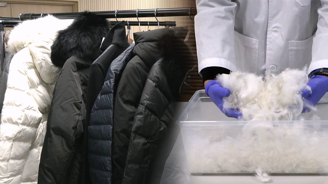 오리털 넣고 '구스다운'이라고 표기‥이랜드월드 등 17개 의류업체 제재