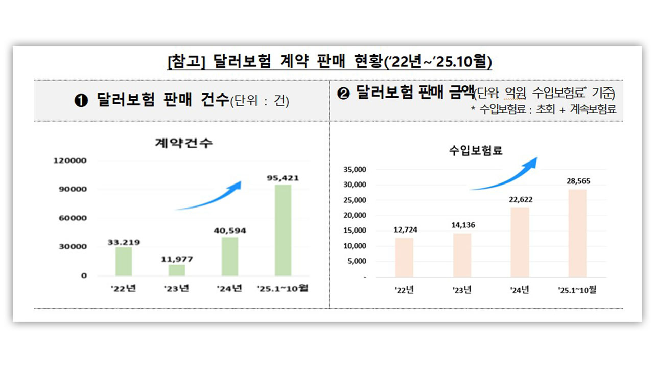 금감원, 소비자경보 발령‥"달러 보험, 불완전 판매 가능성 커"  