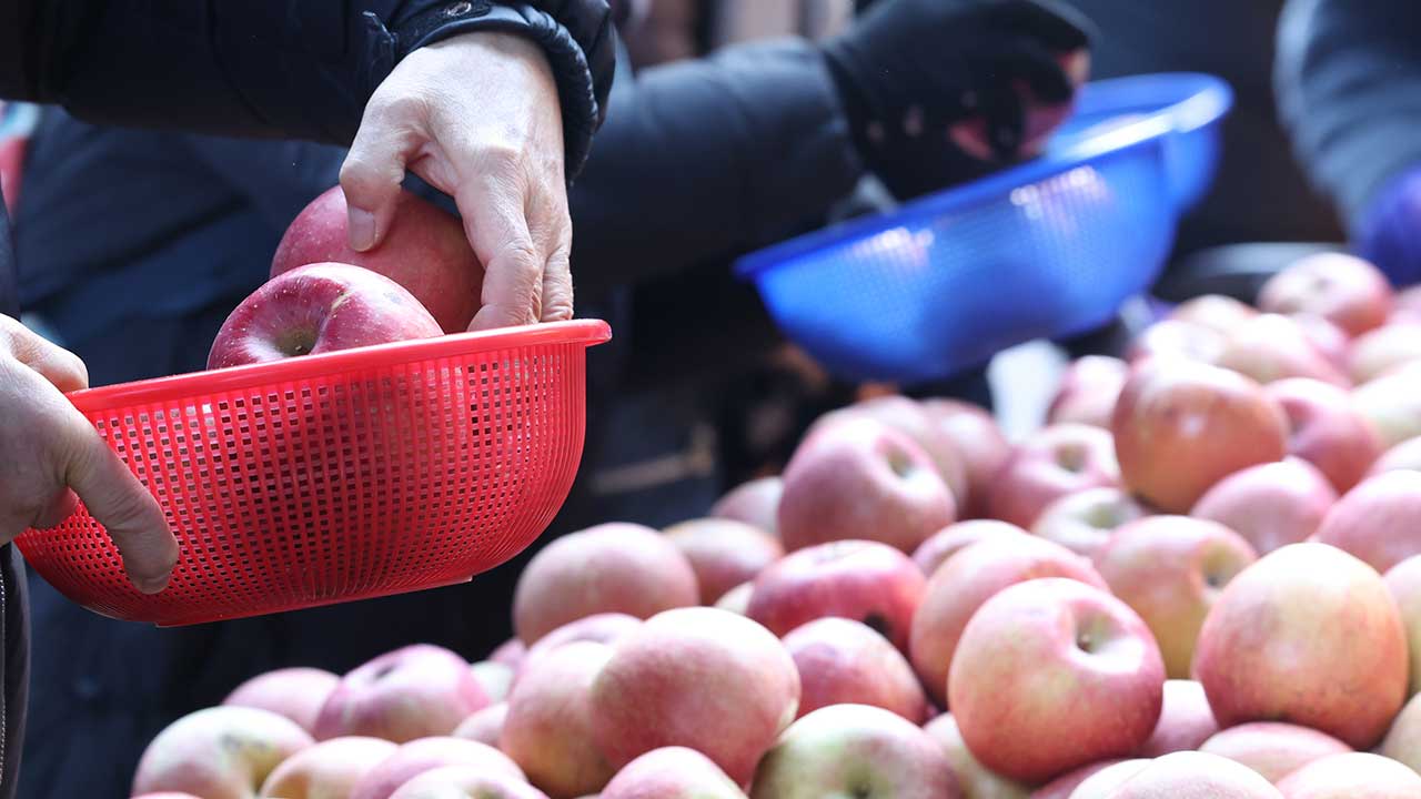정부, 설 성수품 할인에 910억 원 투입‥역대 최대 규모 공급