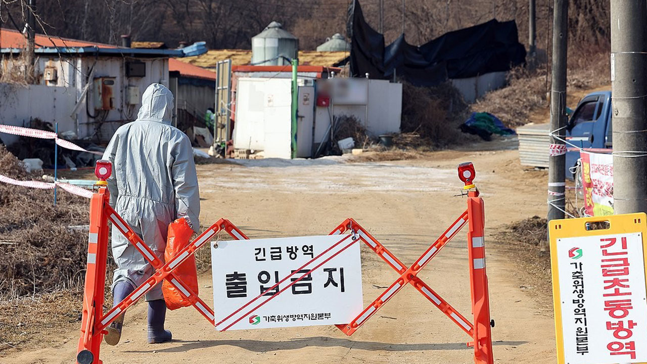 돼지 사료에서 아프리카돼지열병 유전자 첫 검출