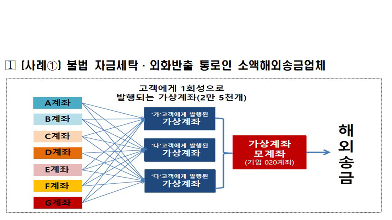 범정부대응반, 도박수익 송금 등 6천억 원대 불법외환거래 적발