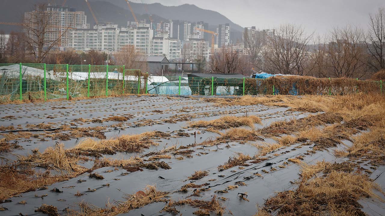 정부, 농지 전수조사 착수‥투기 차단·처분명령 강화