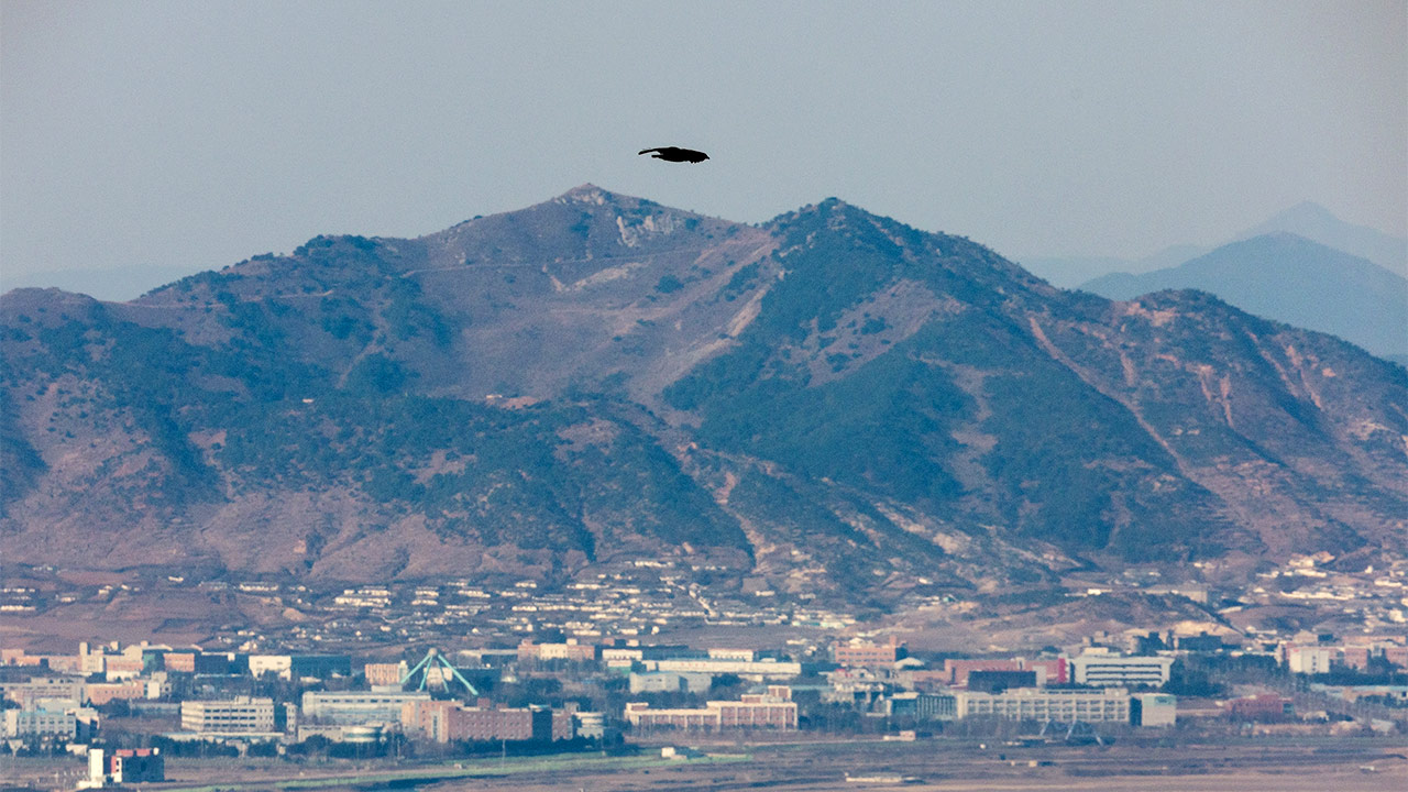 유엔사 "DMZ법, 정전협정과 정면 충돌‥반대한다"