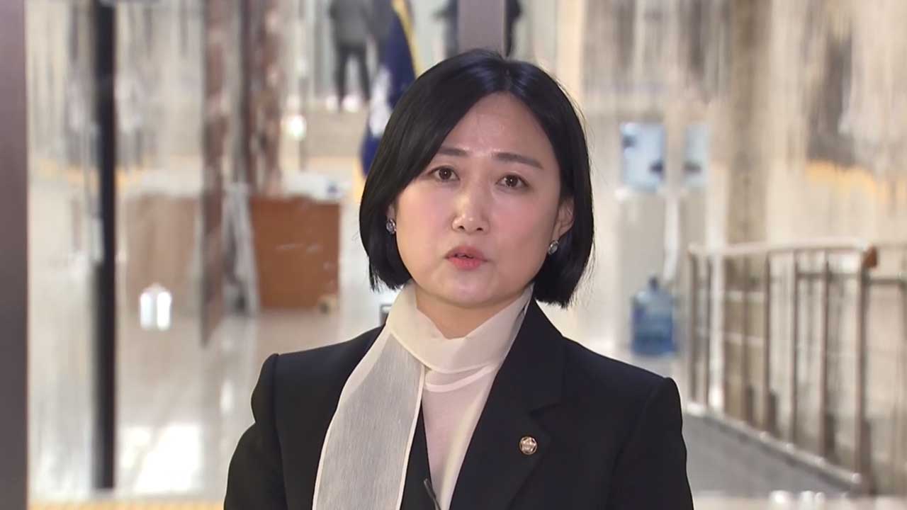 민주당, 국민투표법안에서 '허위사실 유포 처벌' 상정 직전 삭제