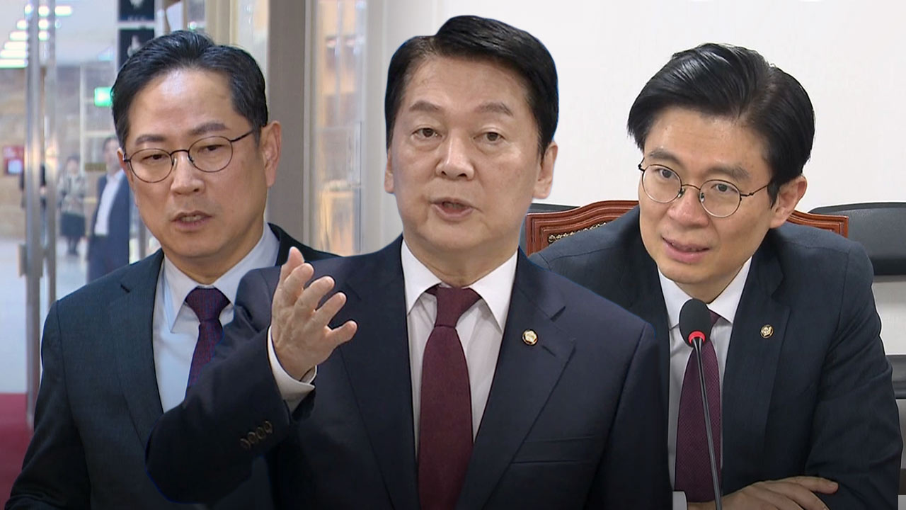 국힘 내부에서 "호르무즈 해협에 즉각 파병해야‥일본이 선언하면 늦어"