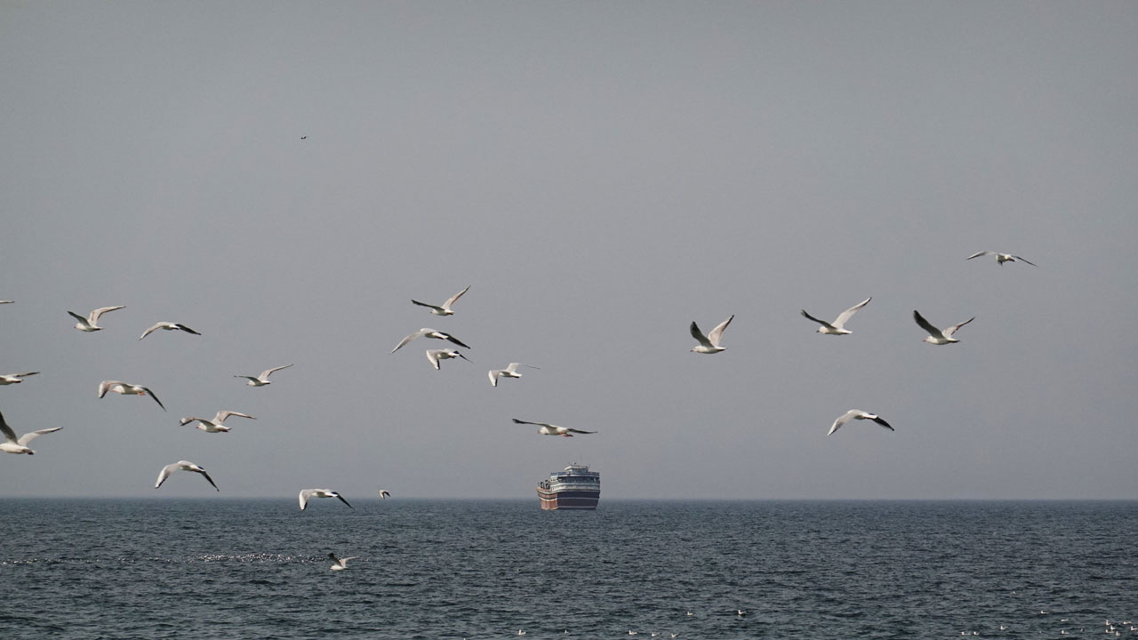 정부 "호르무즈 정상 공동성명에 한국도 동참‥국제사회 기여 의지"