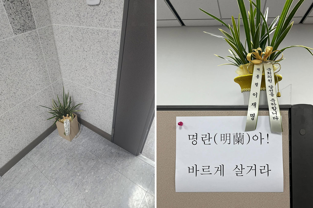 대통령 축하난에 '명난' 이름 붙인 김태규‥"명난아 바르게 살거라"