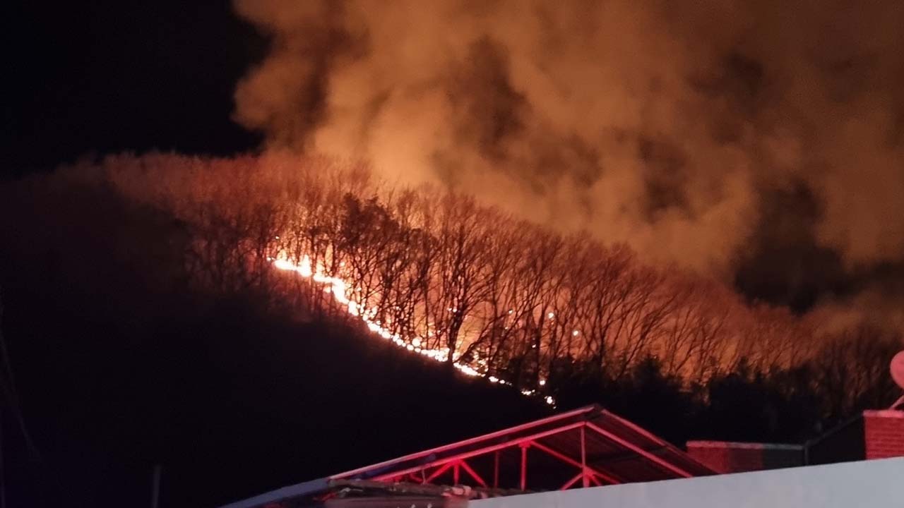 경북 영천 야산에서 불‥1시간 20분 만에 주불 진화