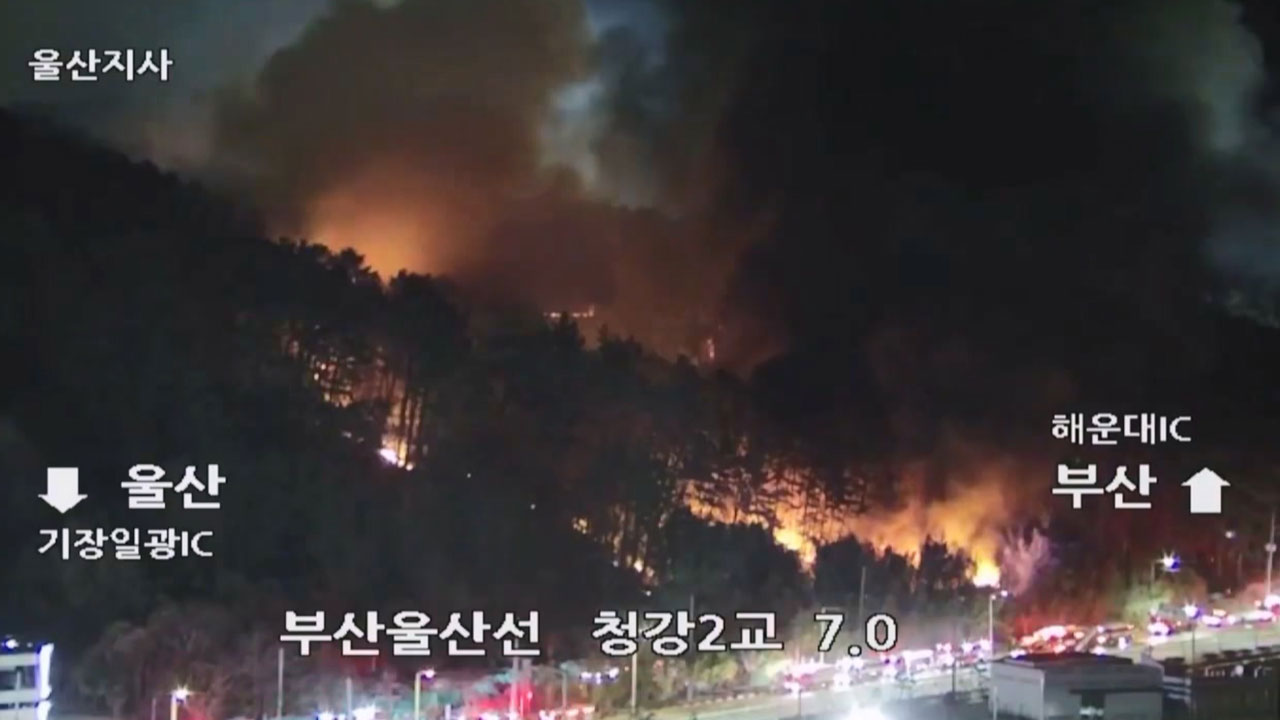 [속보] 부산 기장군 공장 화재 번져 산불로‥대응 2단계 발령
