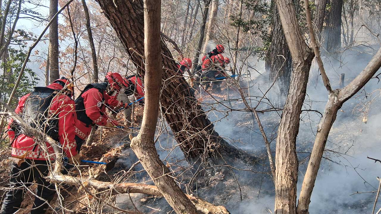 전남 광양 백운산 산불 19시간 만에 주불 진화‥인명피해 없어
