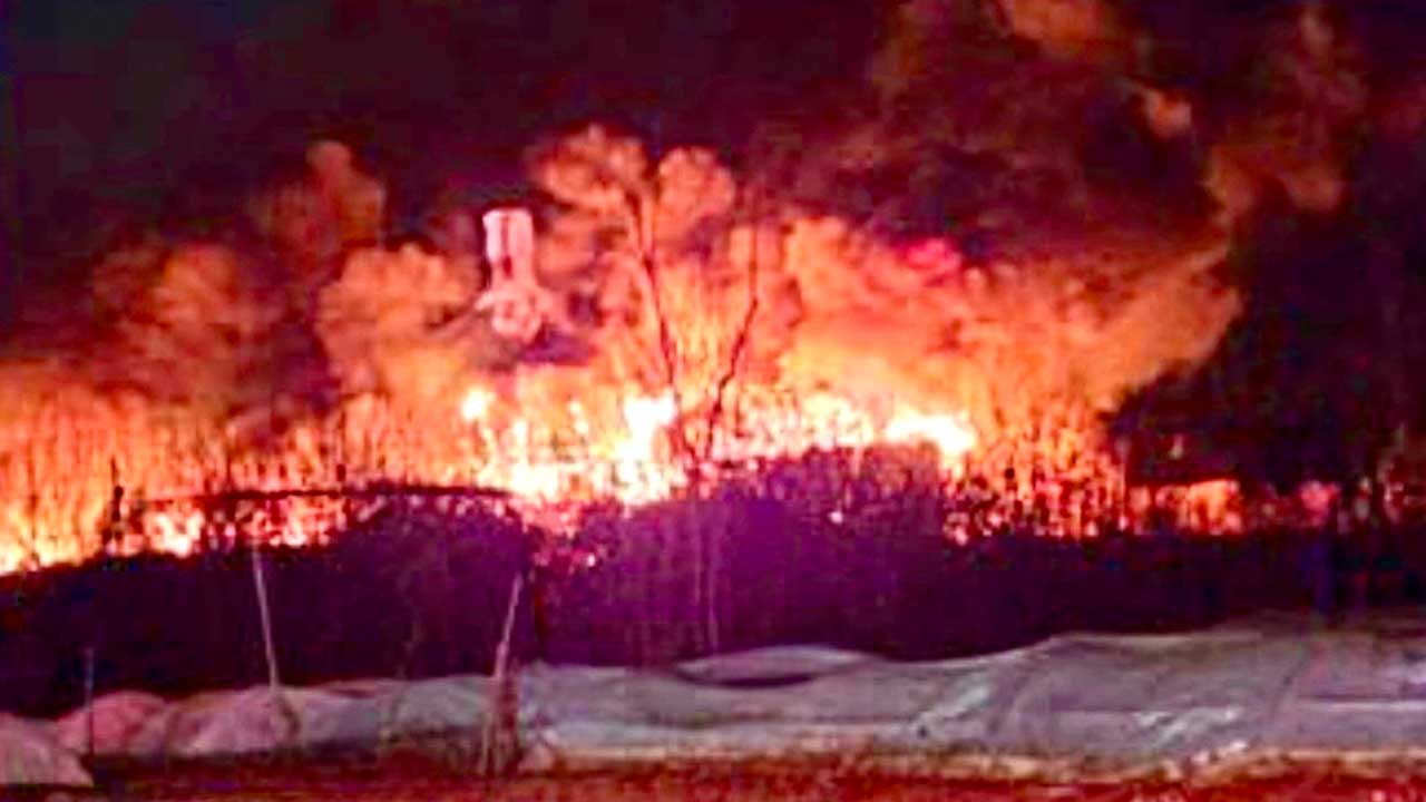 경기 시흥 주거용 비닐하우스에서 불‥70대 남성 사망