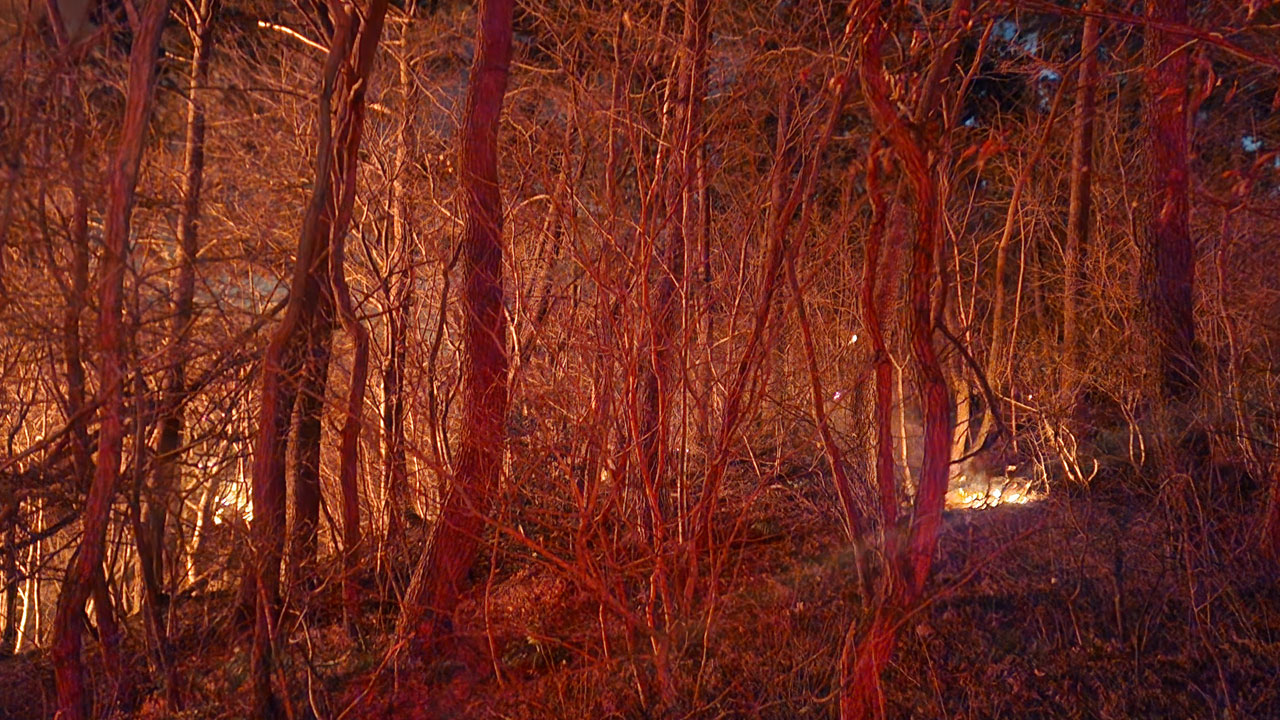 부산 기장 산불로 인근 골프리조트 투숙객 대피 권고‥도로 통제