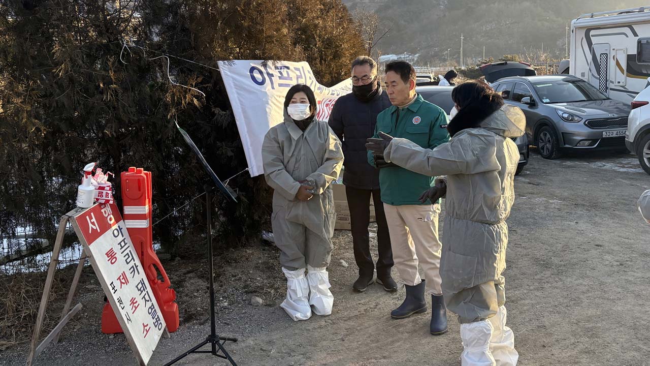 African Swine Fever Detected at Farms in Anseong and Pocheon, South Korea African Swine Fever Detected at Farms in Anseong and Pocheon, South Korea