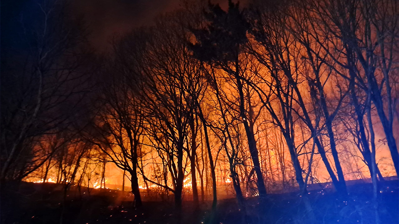 전남 고흥 산불 3시간 만에 완진‥산불진화대원 부상