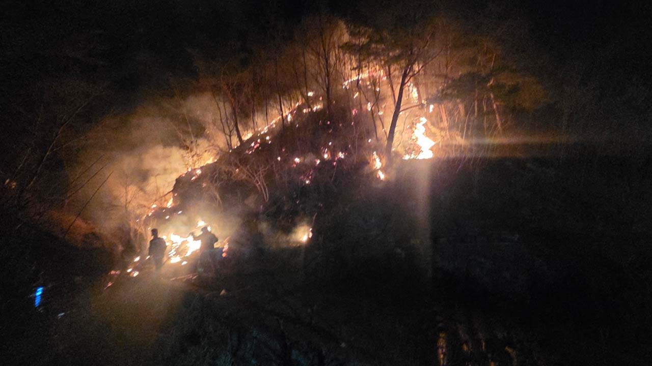 '건조 경보' 강원 동해서 산불‥1시간 만에 큰불 잡혀