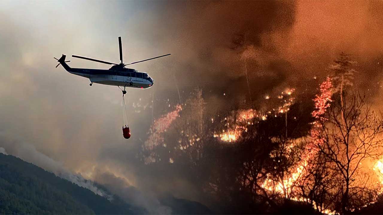 전남 여수 묘도 야산 불‥인근 주민 대피령