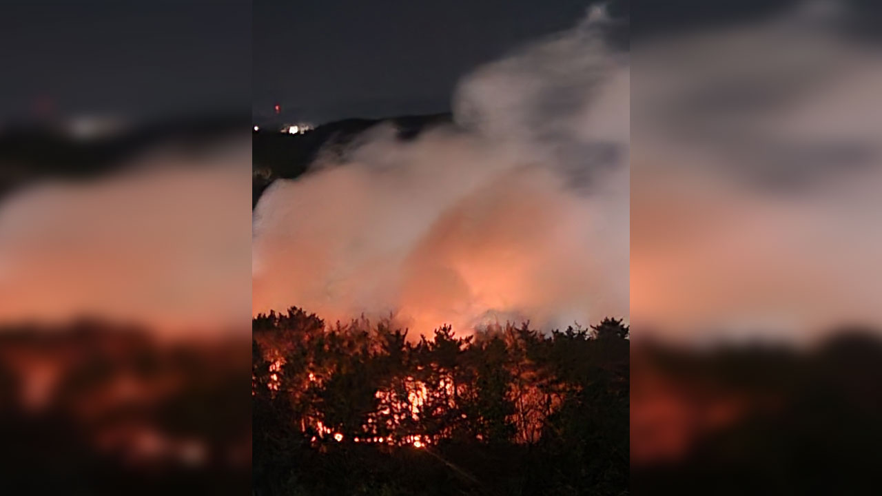 경북 포항서 산불‥1시간 만에 큰 불길 잡혀