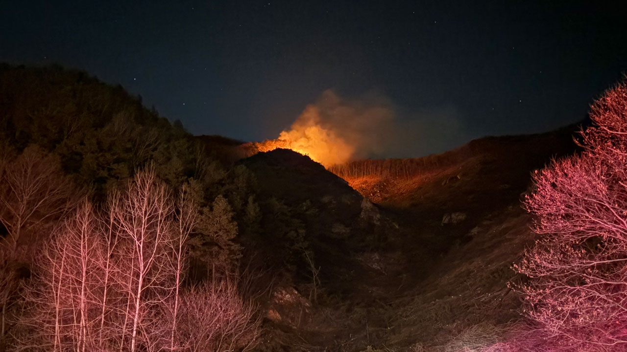 충남 금산군 백마산서 불‥6시간 만에 진화