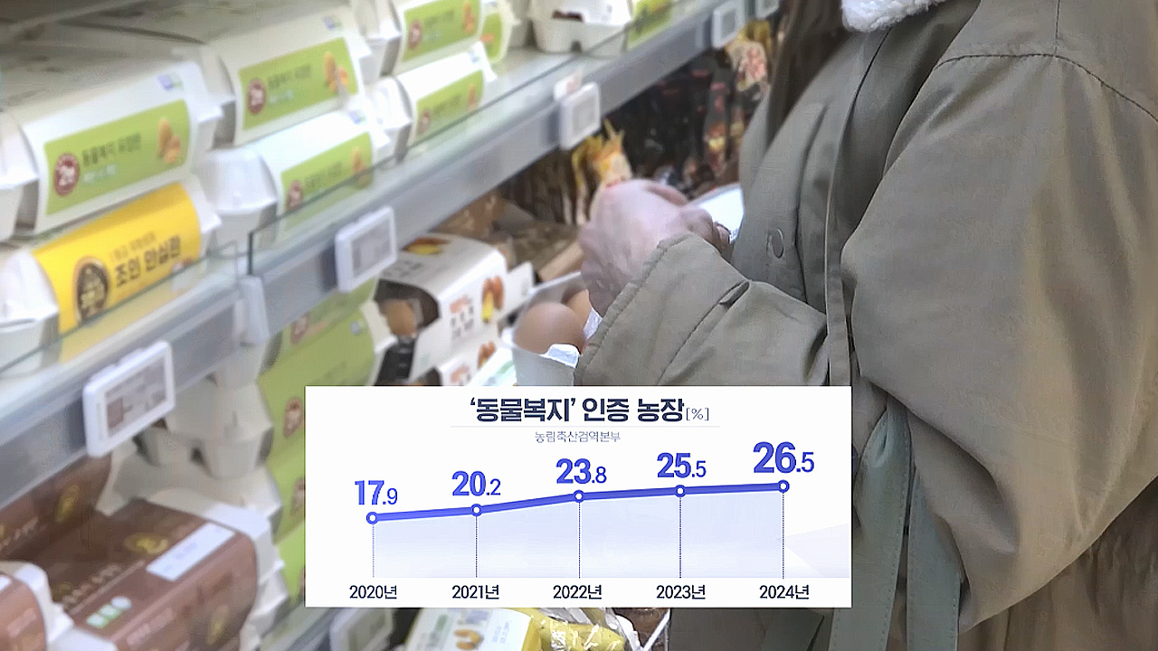 A4 1장보다 좁은 닭장‥닭은 언제쯤 밖으로 나올 수 있을까?