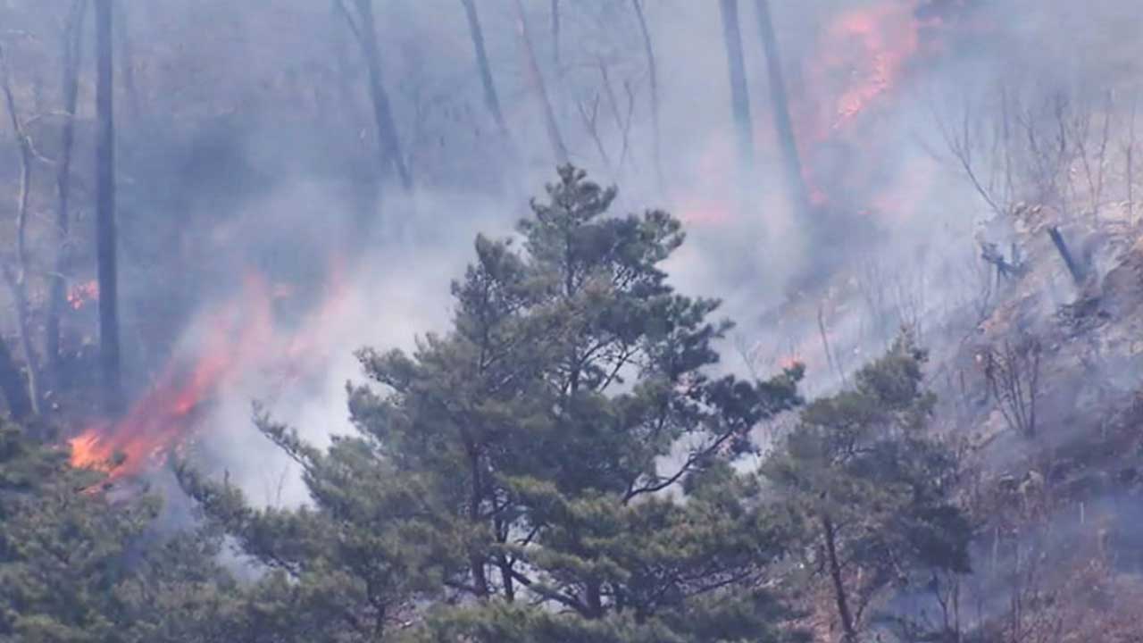 전남 곡성군서 산불 발생‥1시간 10분 만에 큰불 잡혀