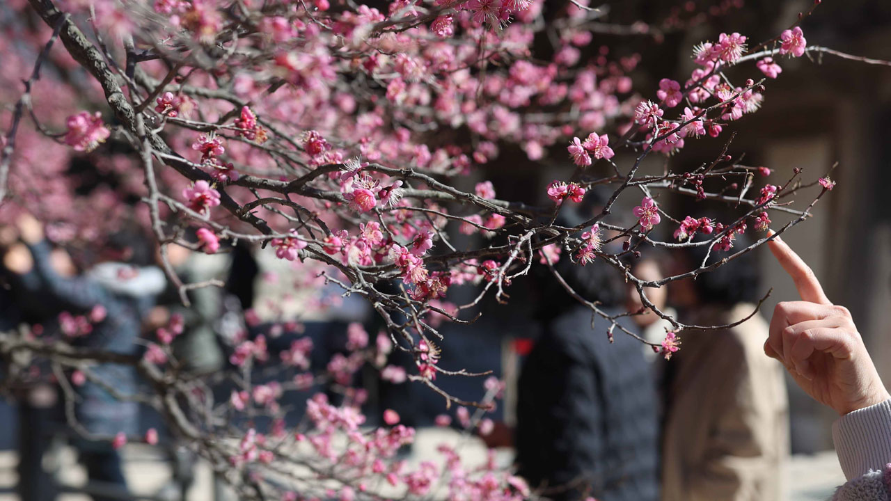 [날씨] '최고 16도' 포근한 오후‥낮·밤 큰 일교차 주의