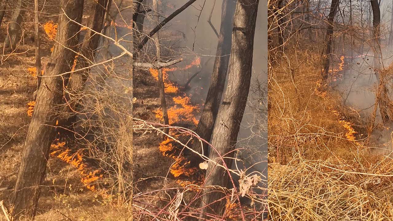 충남 서산 석유비축기지 근처 산불‥'대응 2단계' 발령
