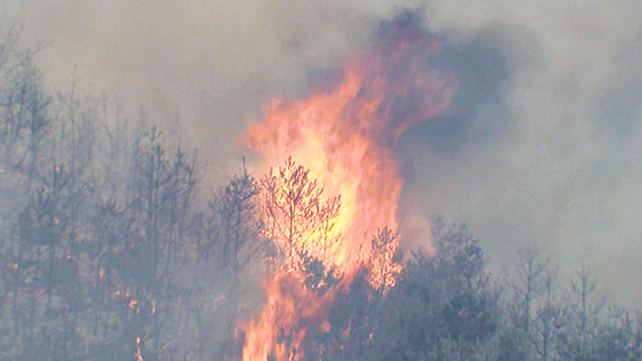 경북 영덕 산불 3시간 반 만에 진화 완료