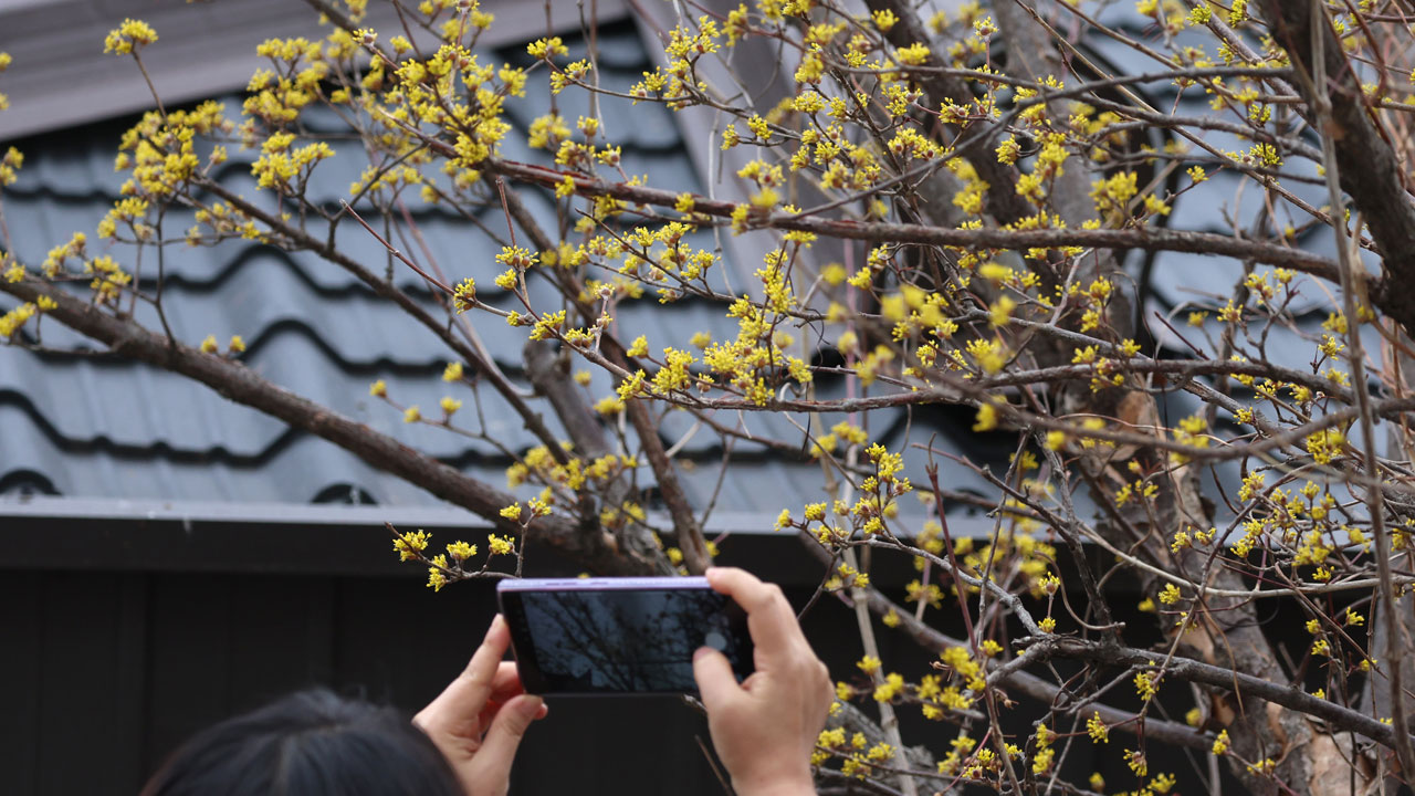 [날씨] 전국 맑고 낮 동안 포근‥큰 일교차 주의