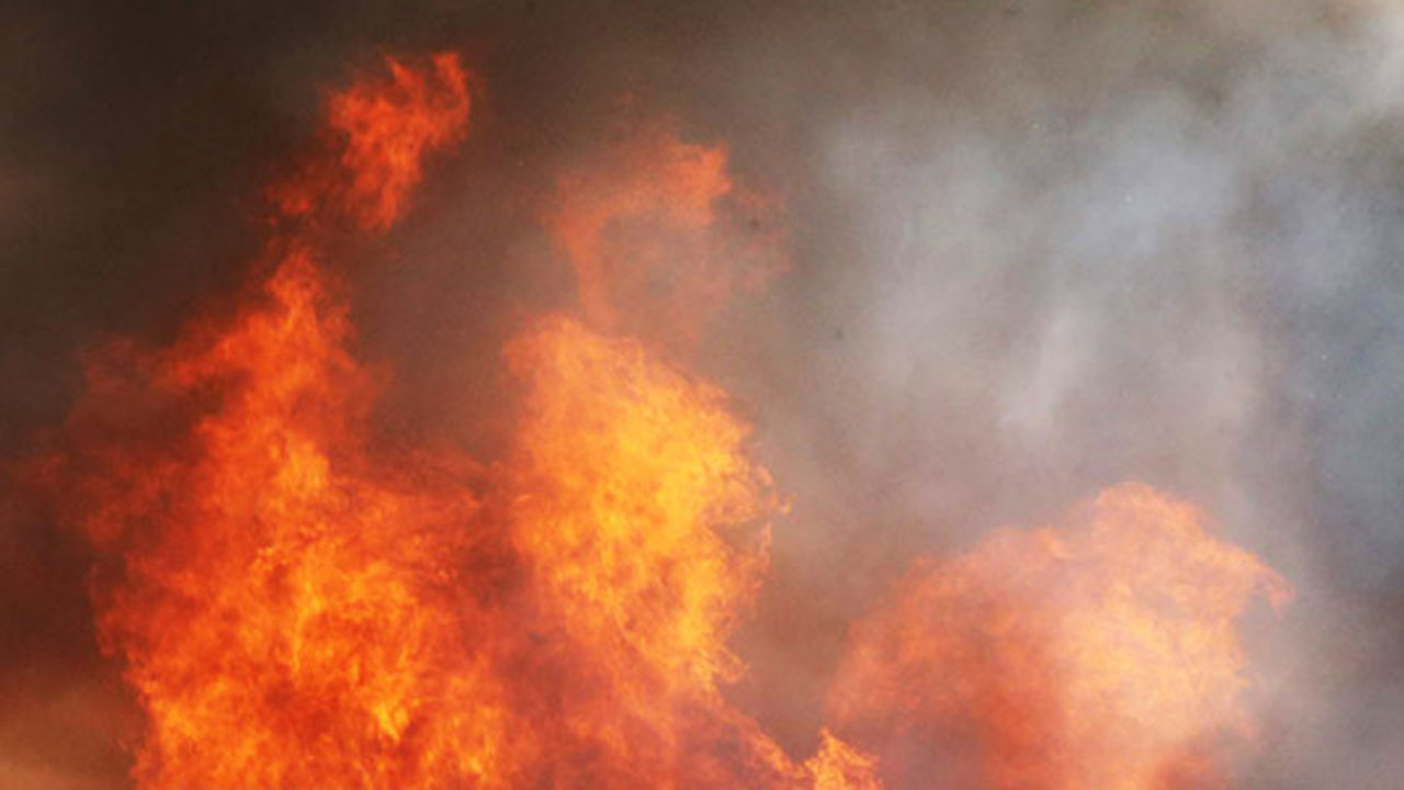 야산으로 옮겨 붙은 양계장 화재‥소방당국 큰불 잡아 