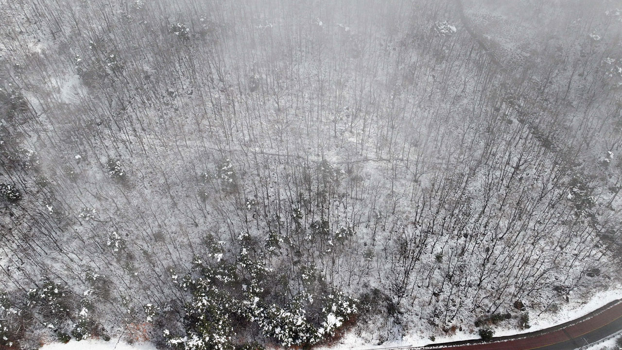 강원도, 최고 40㎝ 폭설 예보에 비상 1단계‥재난대책본부 가동