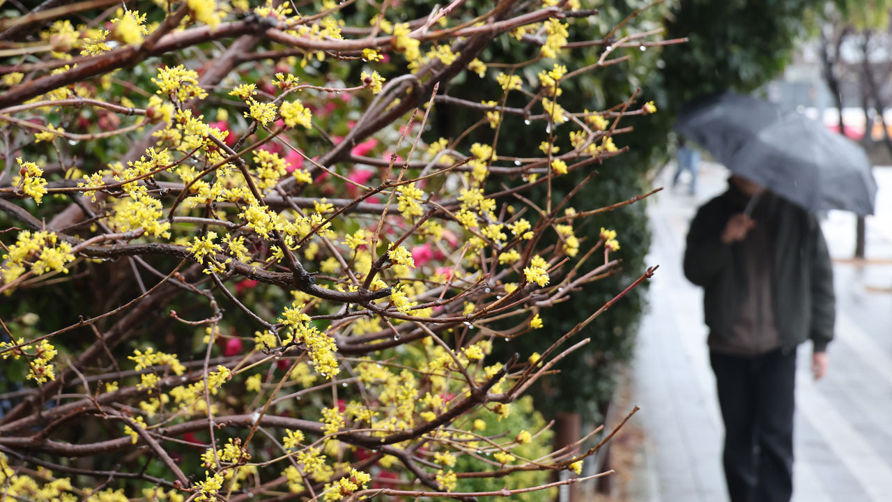 [날씨] 전국 곳곳 눈비‥강원 산지에 최대 20cm 눈