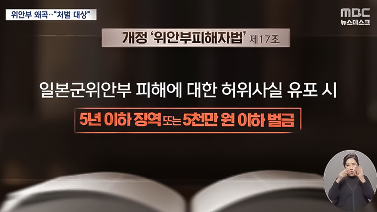 '위안부 부정' 김병헌 "나는 처벌 못 해"‥과연?