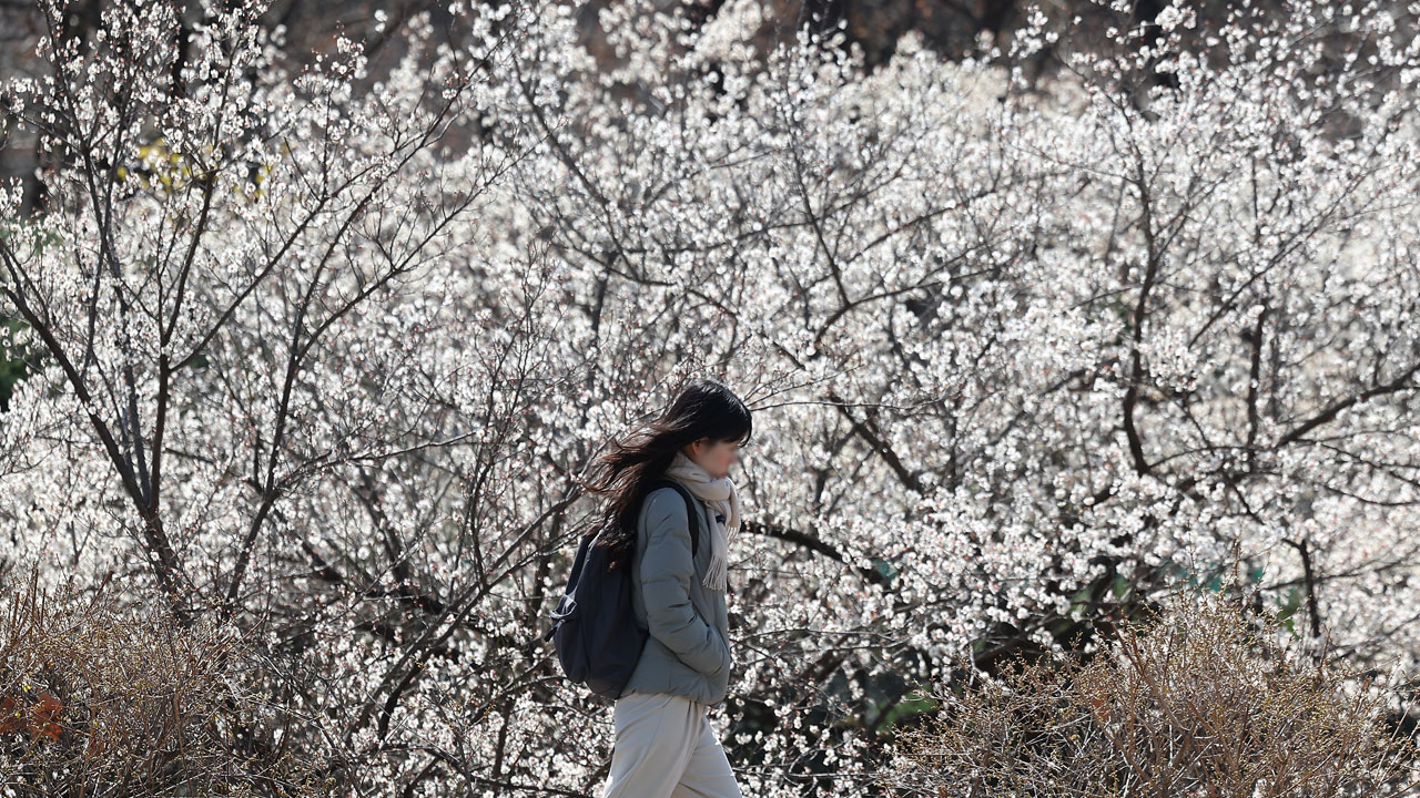 [날씨] 전국 맑지만 쌀쌀