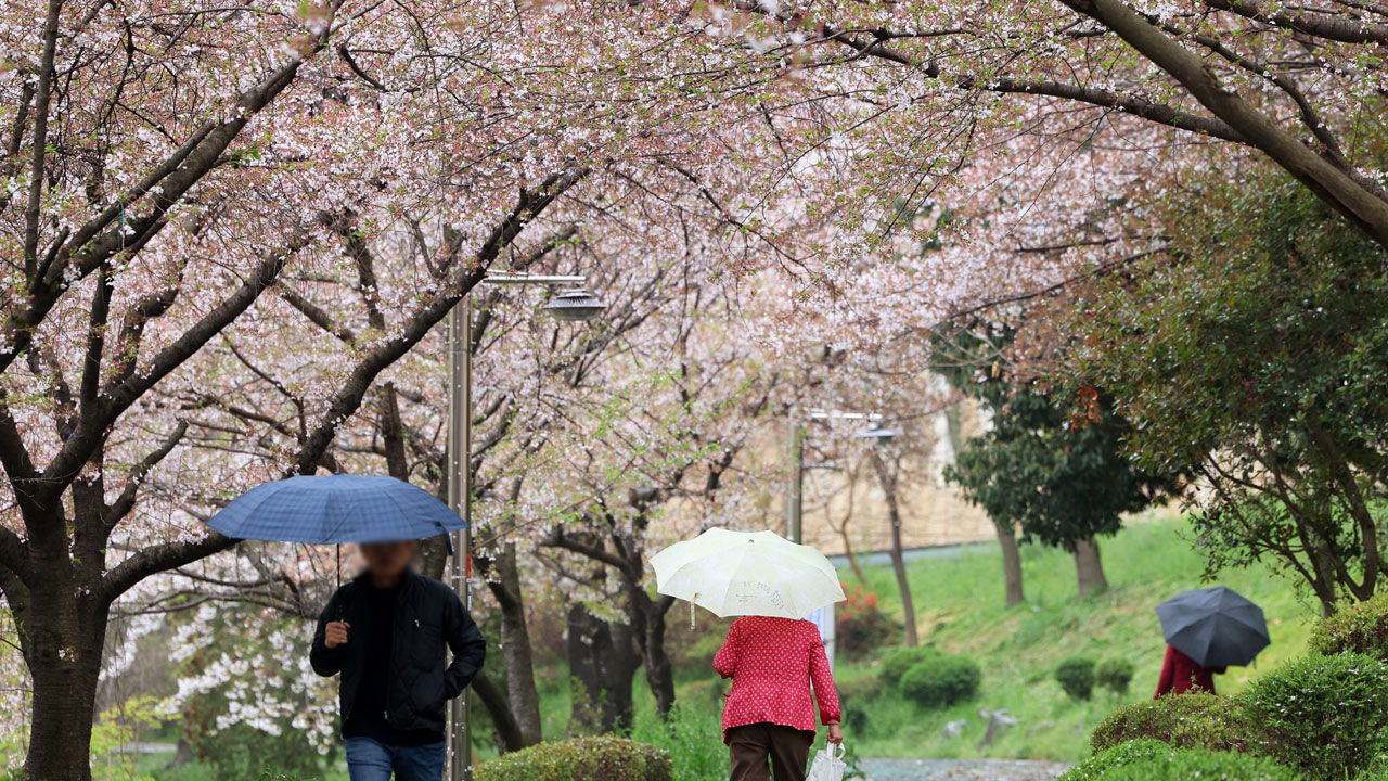 [날씨] 전국에 종일 봄비‥"천둥·번개, 강풍 유의"