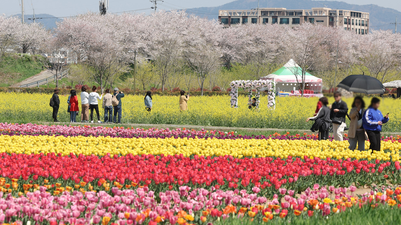 [날씨] 한낮 봄 날씨 '포근'‥황사·일교차 주의