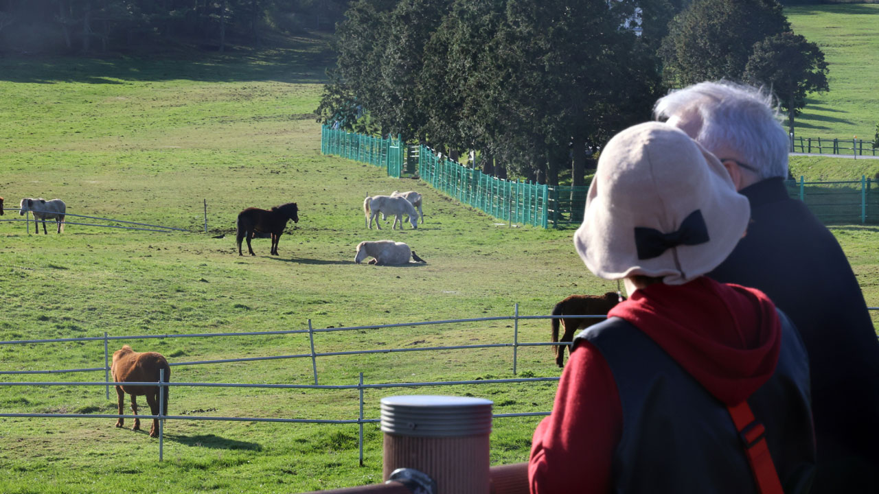 [날씨] '서울 23도' 평년보다 따뜻해요‥미세먼지 '나쁨' 주의