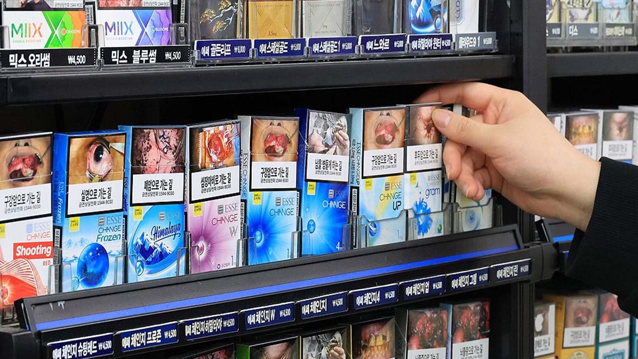 청소년 담배는 고1·술은 중1 진학할 때 '시작' 위험