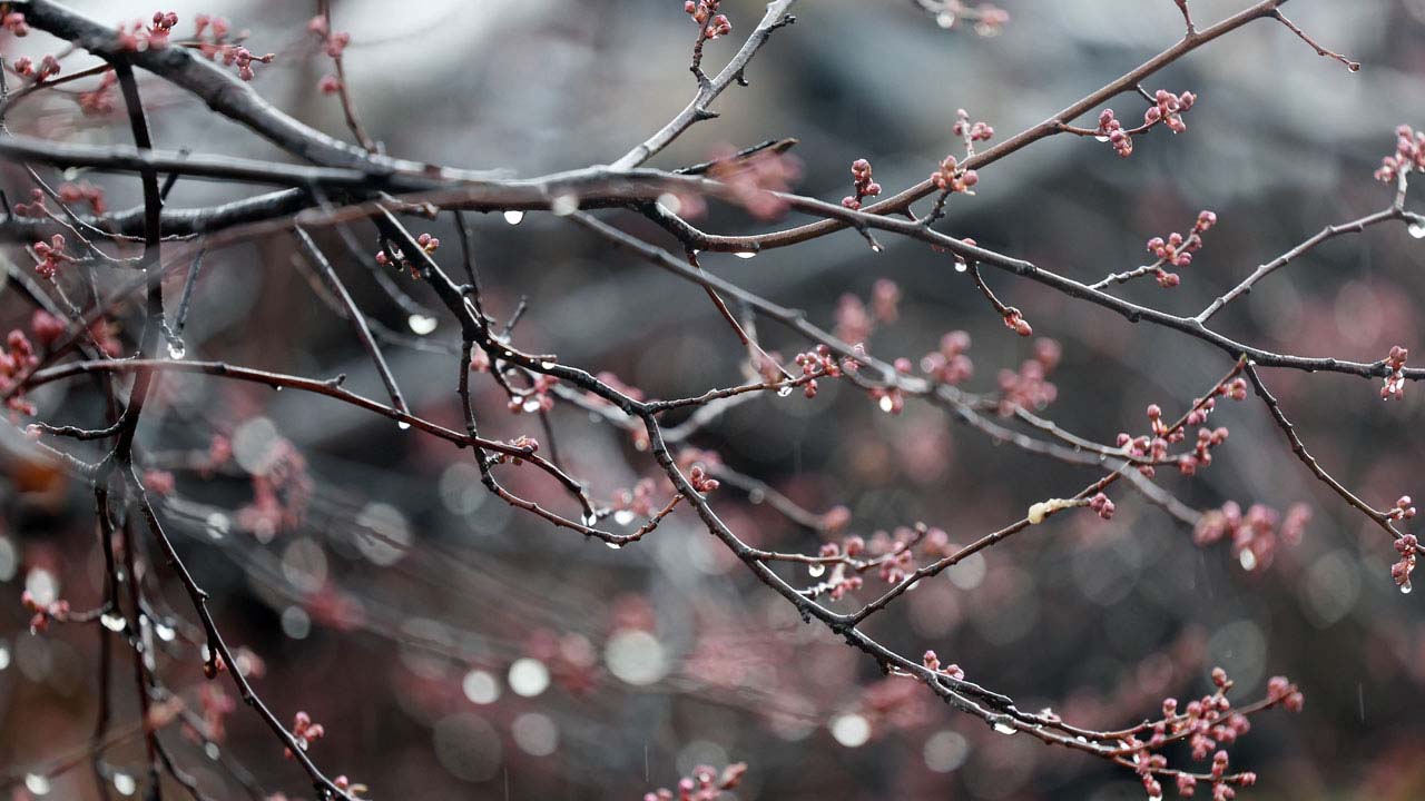 내일 아침 기온 '뚝'‥내륙 일부에 2005년 이후 가장 늦은 한파주의보