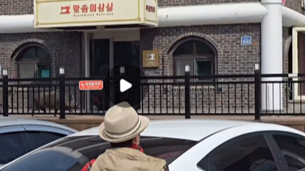 고속도로 휴게소에 멧돼지 출몰‥화장실 문 '쿵'