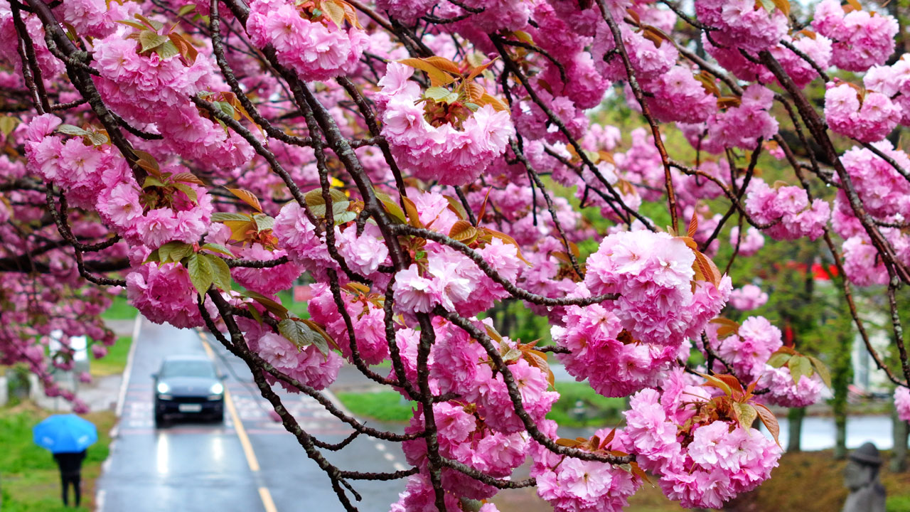 [날씨] 서울 낮 최고 19도‥때이른 더위 한풀 꺾일 듯