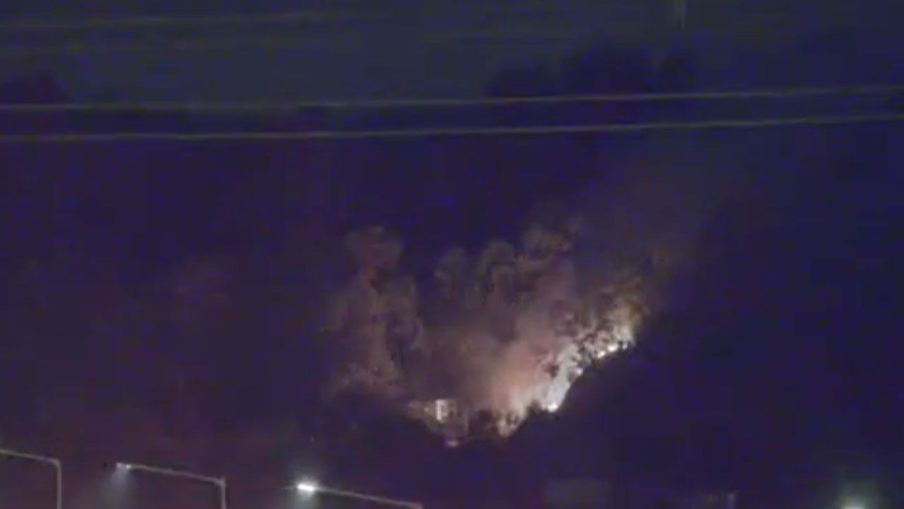 경기 화성 시화대교 인근 야산서 불‥2시간만에 진화