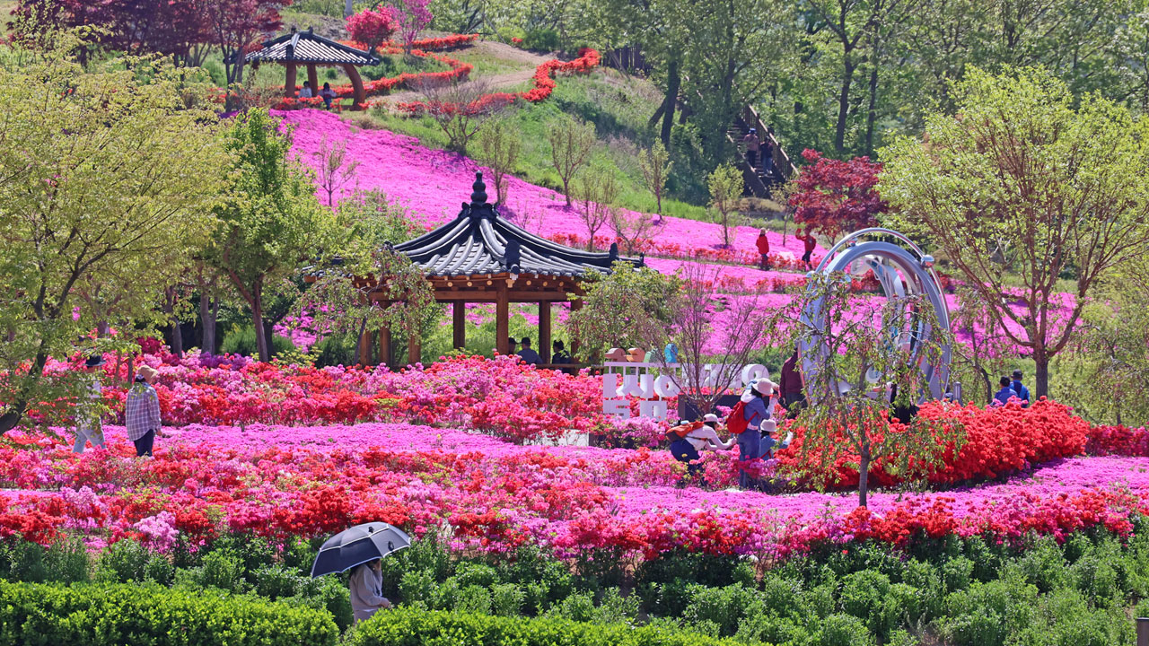 [날씨] 일요일 대체로 맑고 따뜻한 날씨‥전남·경남 일부 소나기 
