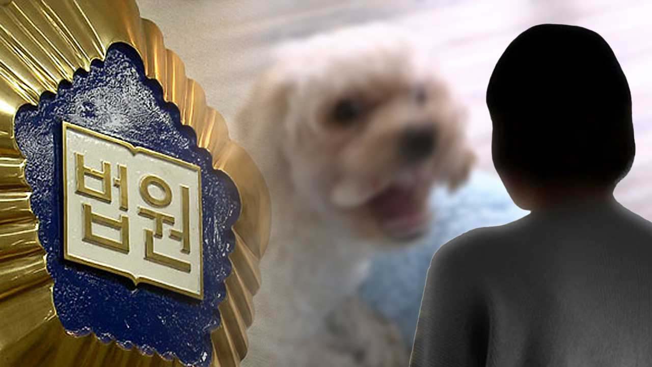 "푸들 훈련하다 치아탈구"‥대법, 애견유치원 원장 벌금 300만 원