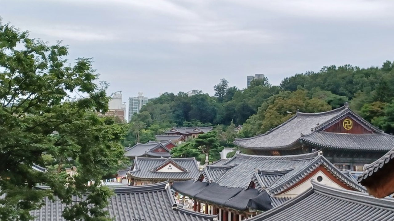 서울 강남구 봉은사 불전함 턴 10대 2명 검거