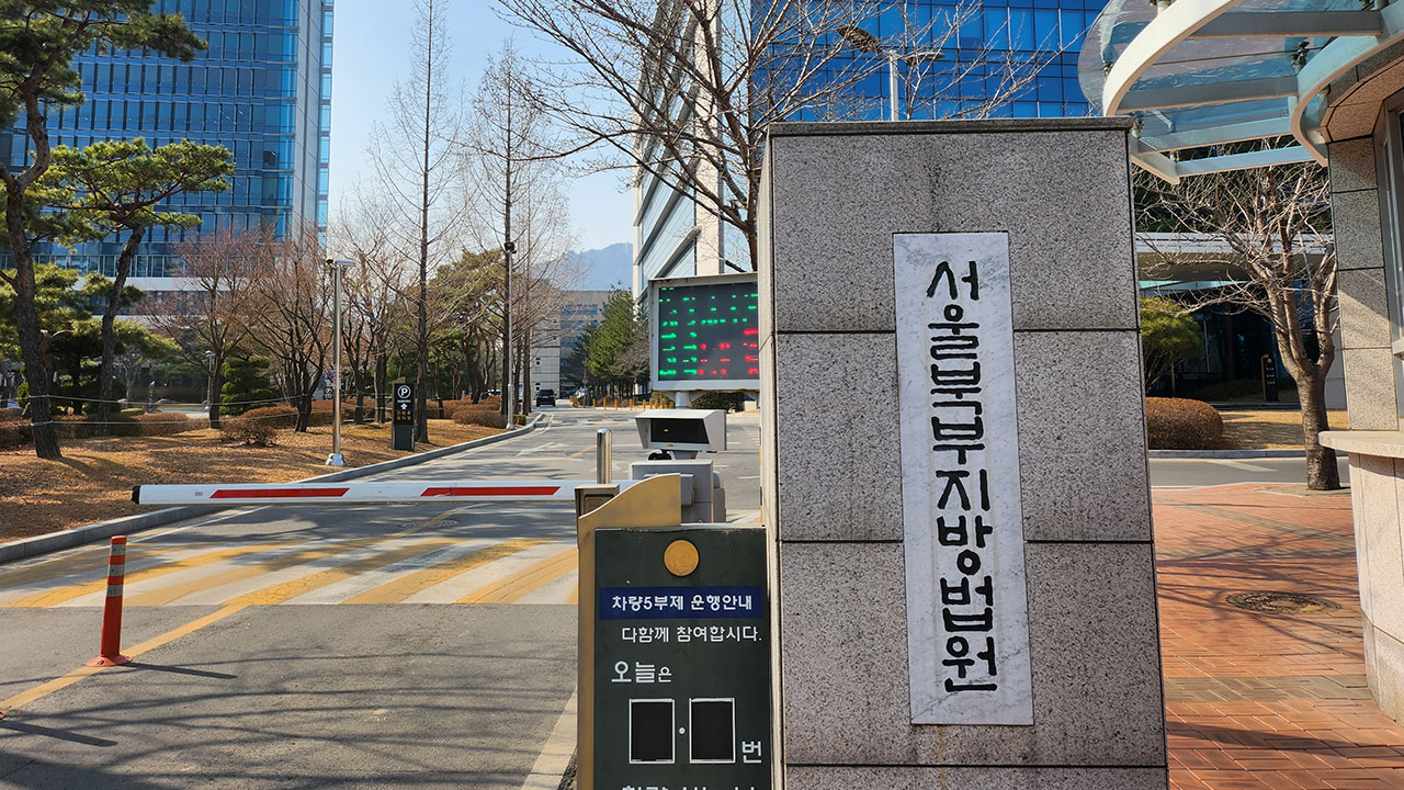 '80대 할아버지 살해' 20대 손녀 구속심사