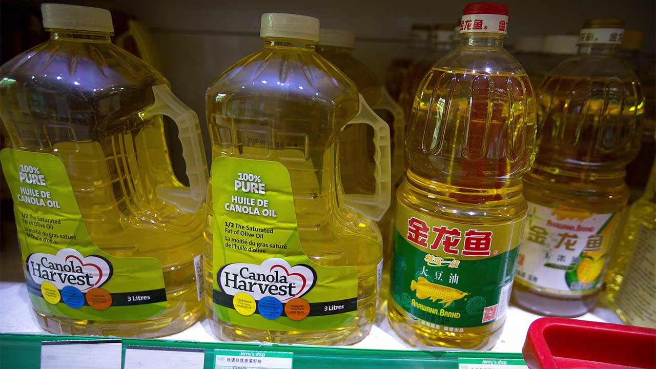 중국, '관계 회복' 캐나다산 유채씨 구매 재개