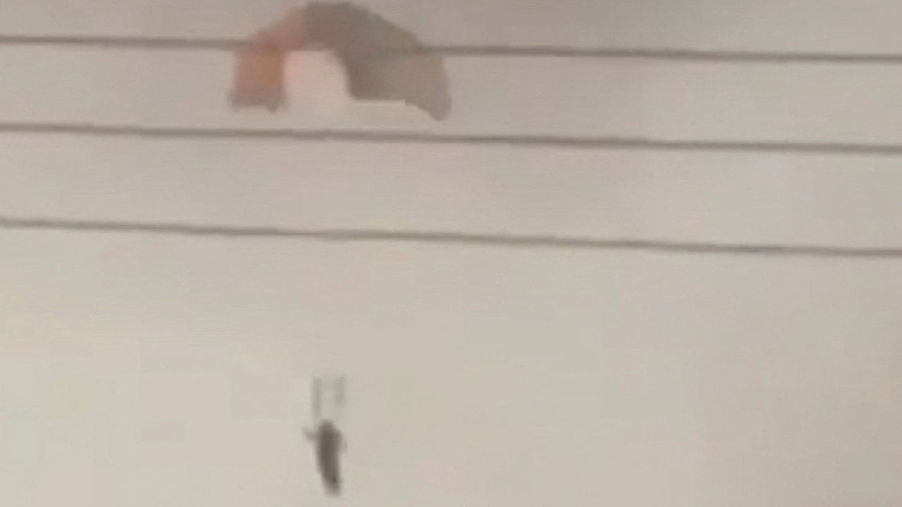 쿠웨이트에서 미군 F-15 3대 추락·탑승자 탈출‥"방공망 오발"